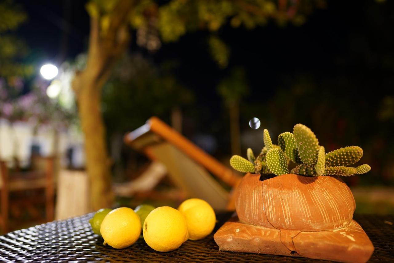 Koukouapartments & Suites Вати Екстериор снимка